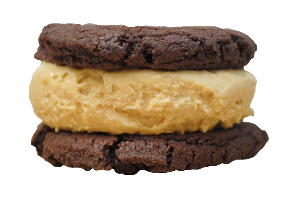 SHIVER ME TIMBERS : Caramel &amp; Sea Salt ice cream between two chocolate cookies